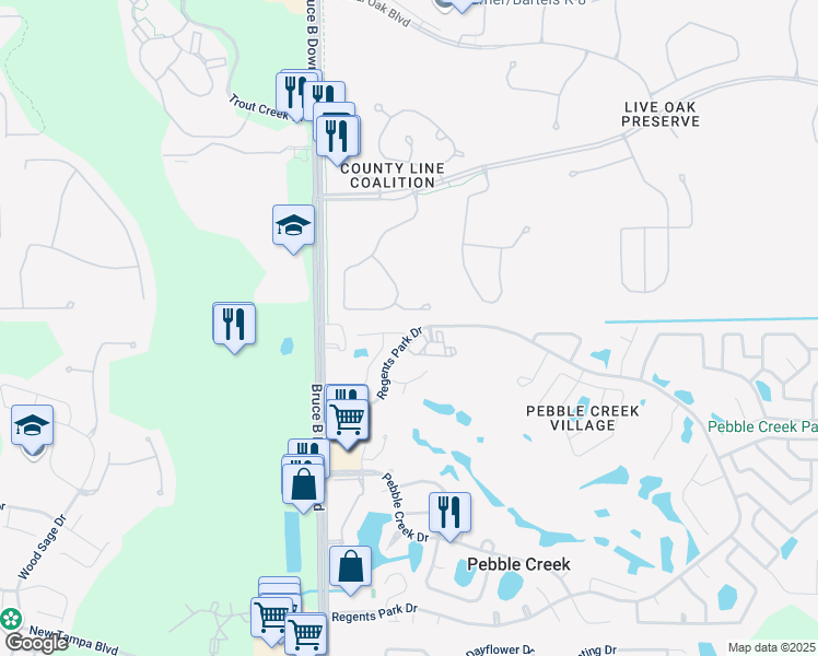 map of restaurants, bars, coffee shops, grocery stores, and more near 10401 Mulligan Court in Tampa