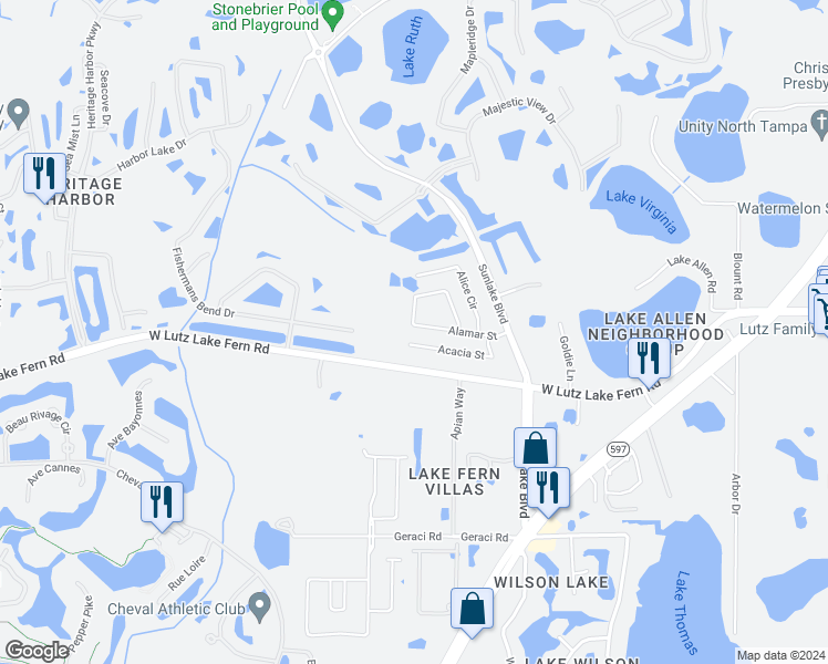 map of restaurants, bars, coffee shops, grocery stores, and more near 3316 Alamar Street in Lutz