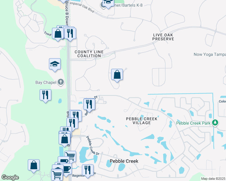 map of restaurants, bars, coffee shops, grocery stores, and more near 20028 Nob Oak Avenue in Tampa