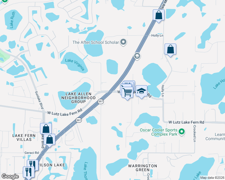 map of restaurants, bars, coffee shops, grocery stores, and more near 19216 North Dale Mabry Highway in Lutz