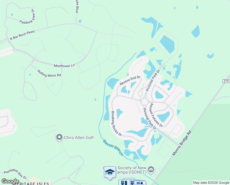 map of restaurants, bars, coffee shops, grocery stores, and more near 20206 Ravens End Drive in Tampa