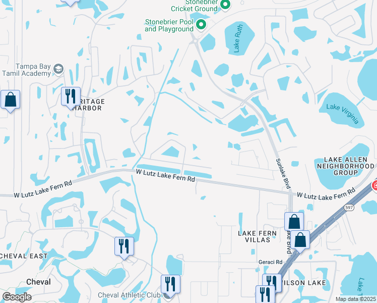 map of restaurants, bars, coffee shops, grocery stores, and more near 19105 Cypress Green Drive in Lutz