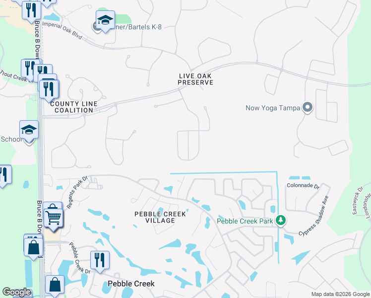 map of restaurants, bars, coffee shops, grocery stores, and more near 20010 Daytona Way in Tampa