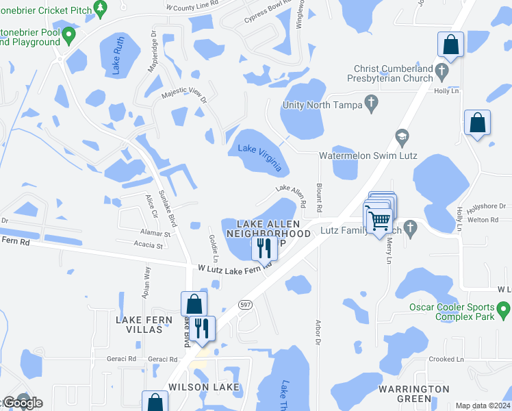 map of restaurants, bars, coffee shops, grocery stores, and more near 19203 Lake Allen Road in Lutz