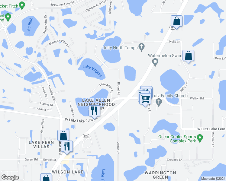 map of restaurants, bars, coffee shops, grocery stores, and more near 19205 Lake Allen Road in Lutz