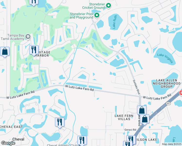 map of restaurants, bars, coffee shops, grocery stores, and more near 19117 Cypress Green Drive in Lutz