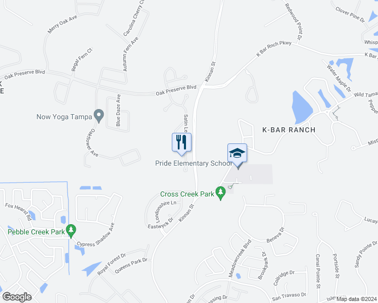 map of restaurants, bars, coffee shops, grocery stores, and more near 20003 Satin Leaf Avenue in Tampa
