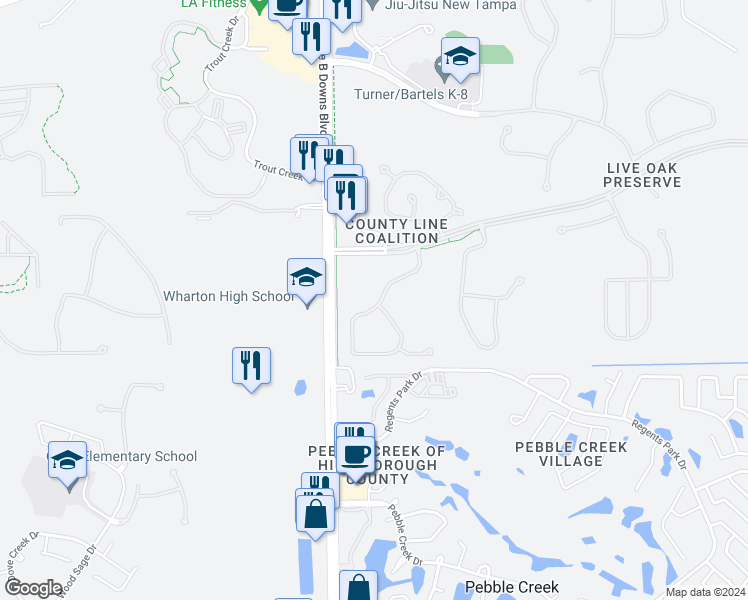 map of restaurants, bars, coffee shops, grocery stores, and more near 20052 Bluff Oak Boulevard in Tampa