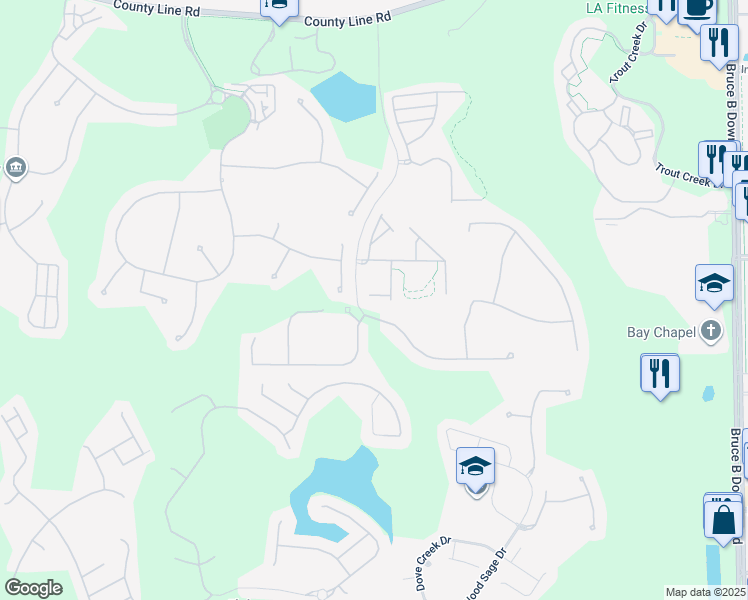 map of restaurants, bars, coffee shops, grocery stores, and more near 8501 Broken Willow Court in Tampa
