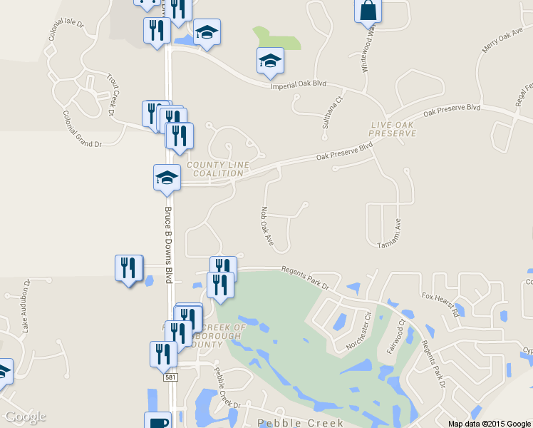 map of restaurants, bars, coffee shops, grocery stores, and more near 9110 Oak Pride Court in Tampa
