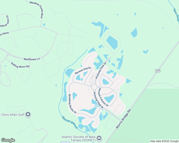 map of restaurants, bars, coffee shops, grocery stores, and more near 20245 Ravens End Drive in Tampa