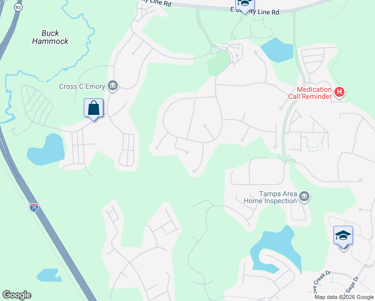 map of restaurants, bars, coffee shops, grocery stores, and more near 20006 Ryman Place in Tampa
