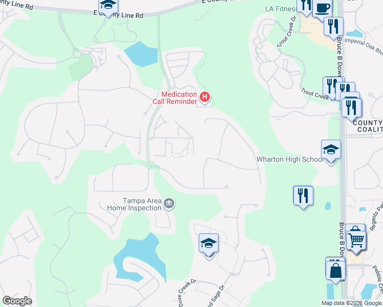 map of restaurants, bars, coffee shops, grocery stores, and more near 20106 Indian Rosewood Drive in Tampa