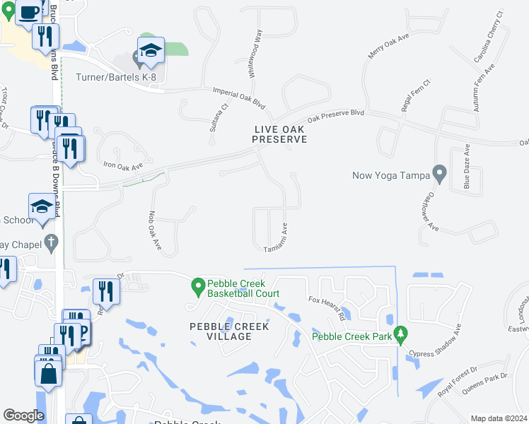 map of restaurants, bars, coffee shops, grocery stores, and more near 20024 Daytona Way in Tampa