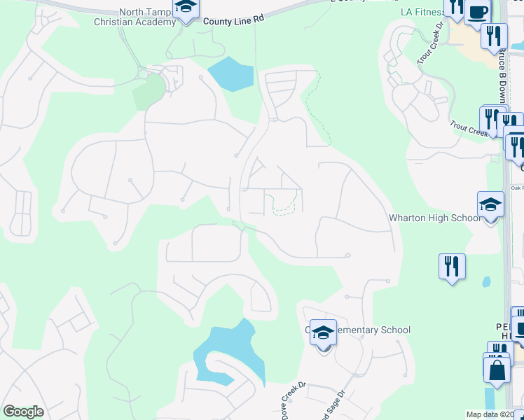 map of restaurants, bars, coffee shops, grocery stores, and more near 8522 Broken Willow Court in Tampa