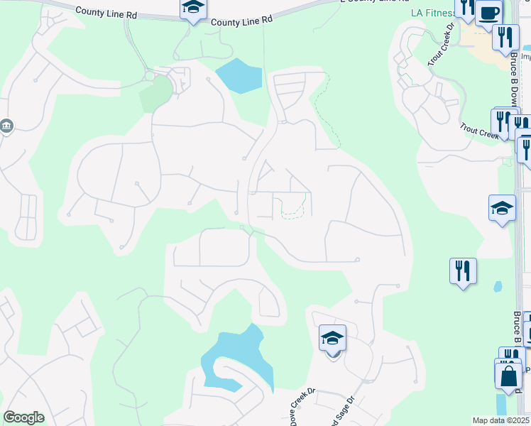map of restaurants, bars, coffee shops, grocery stores, and more near 8514 Broken Willow Court in Tampa