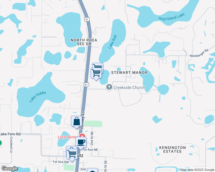 map of restaurants, bars, coffee shops, grocery stores, and more near 302 Pine Bluff Drive in Lutz
