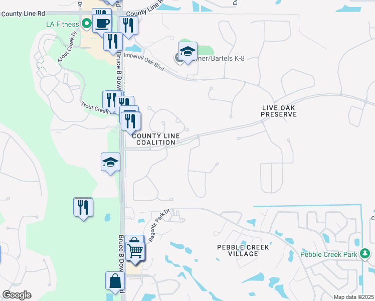 map of restaurants, bars, coffee shops, grocery stores, and more near 20122 Nob Oak Avenue in Tampa