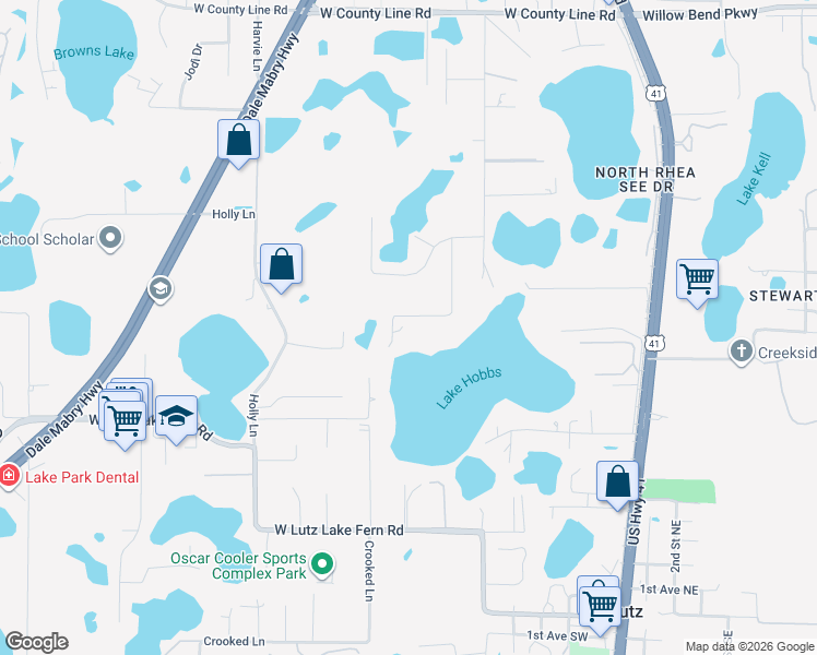 map of restaurants, bars, coffee shops, grocery stores, and more near 19509 Deer Lake Road in Lutz