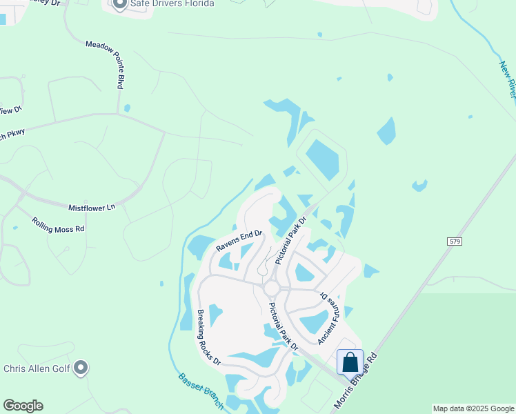 map of restaurants, bars, coffee shops, grocery stores, and more near 20321 Natures Corner Drive in Tampa
