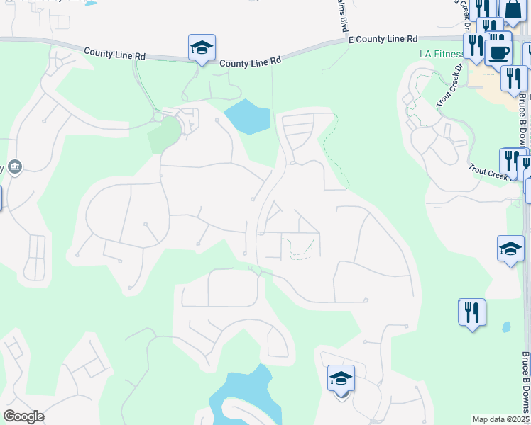 map of restaurants, bars, coffee shops, grocery stores, and more near 20203 Moss Hill Way in Tampa