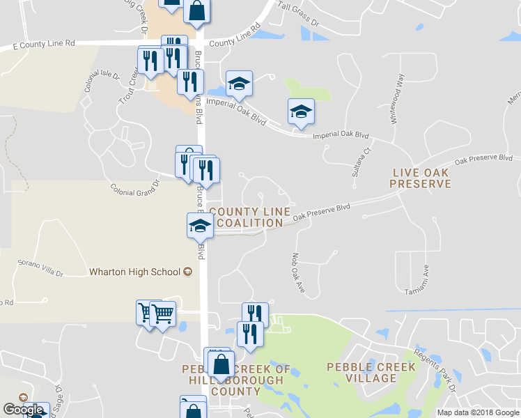 map of restaurants, bars, coffee shops, grocery stores, and more near 8978 Iron Oak Avenue in Tampa