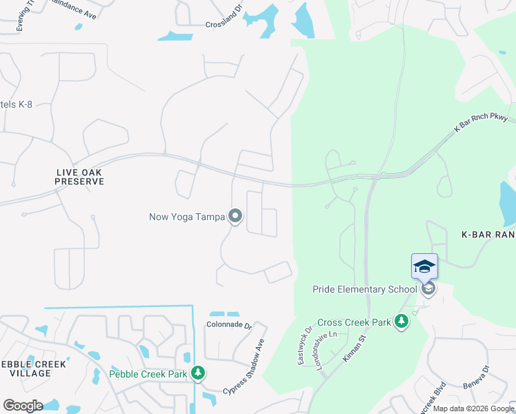map of restaurants, bars, coffee shops, grocery stores, and more near 20114 Blue Daze Avenue in Tampa