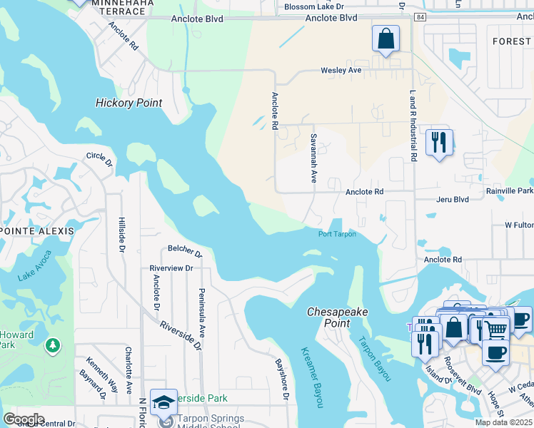 map of restaurants, bars, coffee shops, grocery stores, and more near 741 Anclote Road in Tarpon Springs