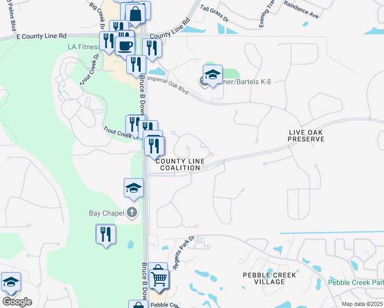map of restaurants, bars, coffee shops, grocery stores, and more near 20307 Oak Key Court in Tampa