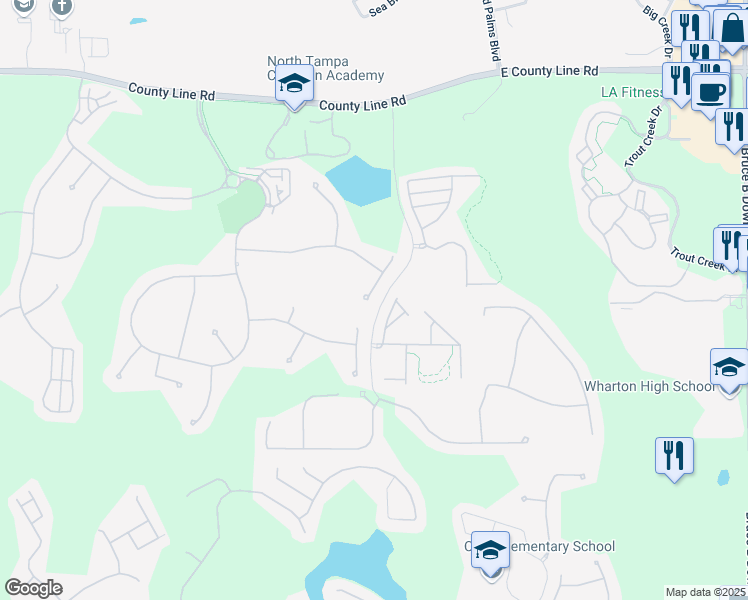 map of restaurants, bars, coffee shops, grocery stores, and more near 20203 Moss Hill Way in Tampa