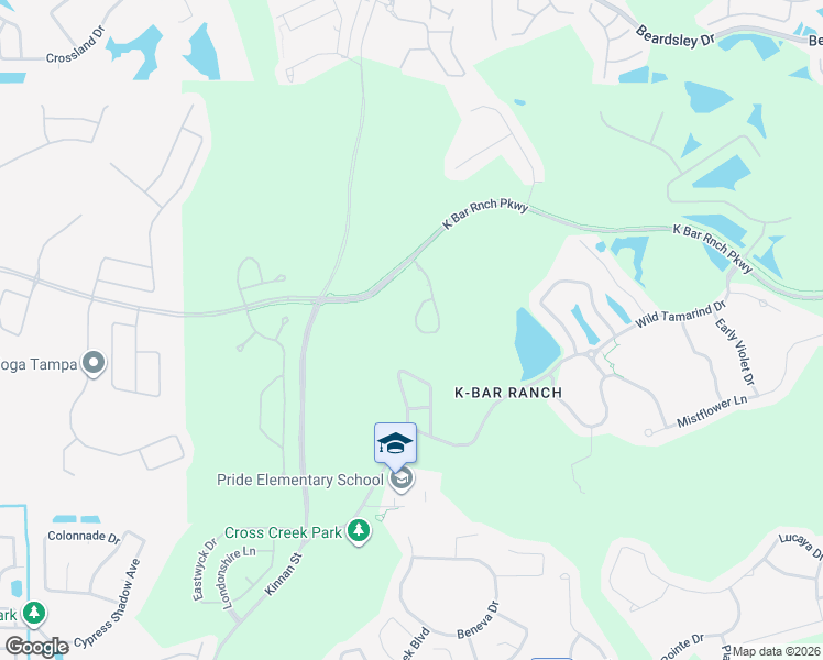 map of restaurants, bars, coffee shops, grocery stores, and more near 19325 Hawk Valley Drive in Tampa