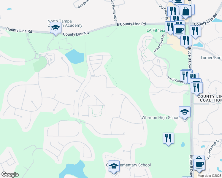 map of restaurants, bars, coffee shops, grocery stores, and more near 8607 Fiddleleaf Court in Tampa