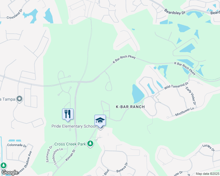 map of restaurants, bars, coffee shops, grocery stores, and more near 19350 Hawk Valley Drive in Tampa