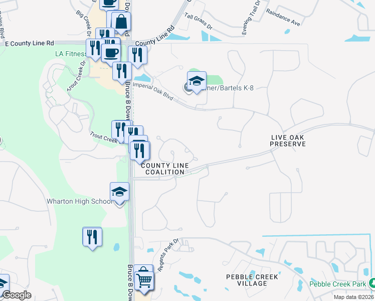 map of restaurants, bars, coffee shops, grocery stores, and more near 20315 Noble Oak Place in Tampa