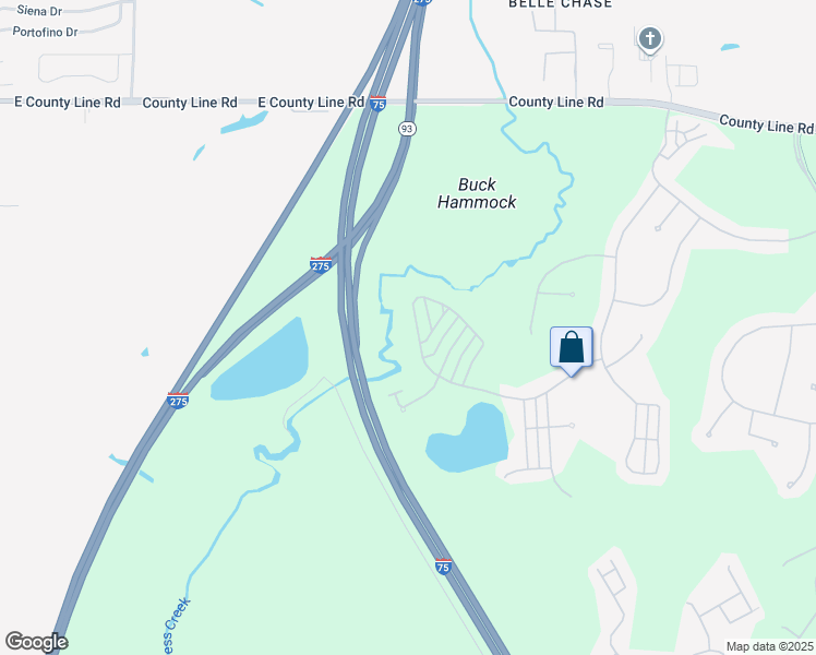 map of restaurants, bars, coffee shops, grocery stores, and more near 7959 Hampton Lakes Drive in Tampa