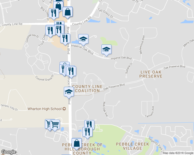 map of restaurants, bars, coffee shops, grocery stores, and more near 20328 Noble Oak Place in Tampa