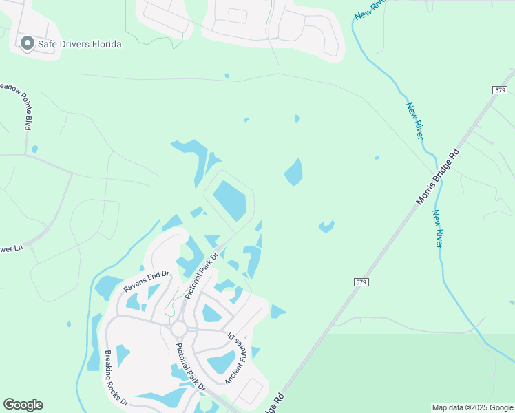 map of restaurants, bars, coffee shops, grocery stores, and more near 10746 Pictorial Park Drive in Tampa