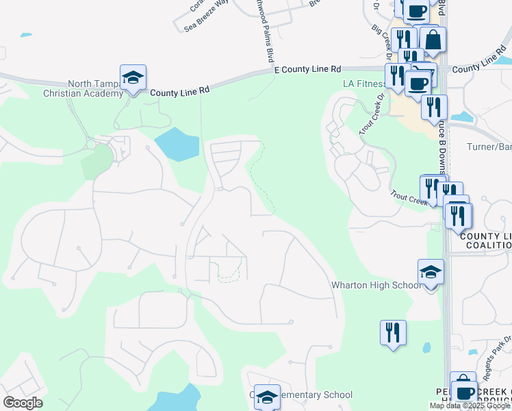 map of restaurants, bars, coffee shops, grocery stores, and more near 20315 Starfinder Way in Tampa