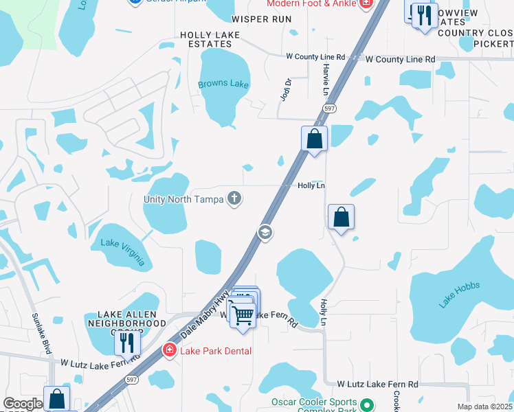 map of restaurants, bars, coffee shops, grocery stores, and more near 19514 North Dale Mabry Highway in Lutz