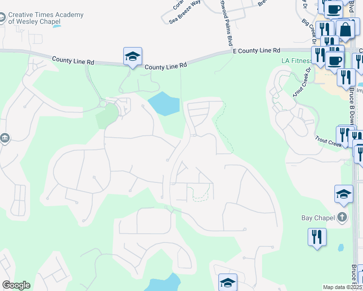 map of restaurants, bars, coffee shops, grocery stores, and more near 20221 Moss Hill Way in Tampa