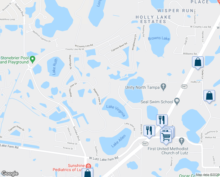 map of restaurants, bars, coffee shops, grocery stores, and more near Butterwood Lane in Lutz