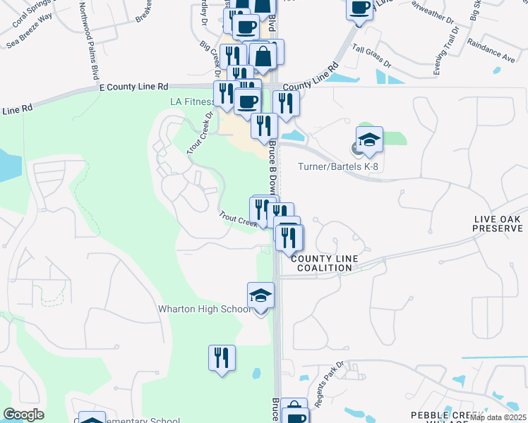map of restaurants, bars, coffee shops, grocery stores, and more near 20303 Trout Creek Drive in Tampa