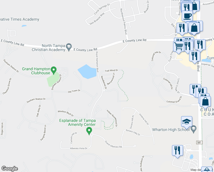 map of restaurants, bars, coffee shops, grocery stores, and more near 20426 Needletree Drive in Tampa