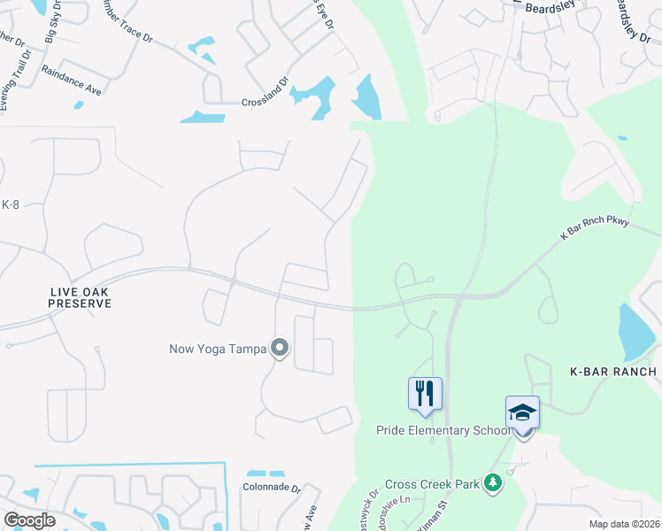 map of restaurants, bars, coffee shops, grocery stores, and more near 20307 Autumn Fern Avenue in Tampa