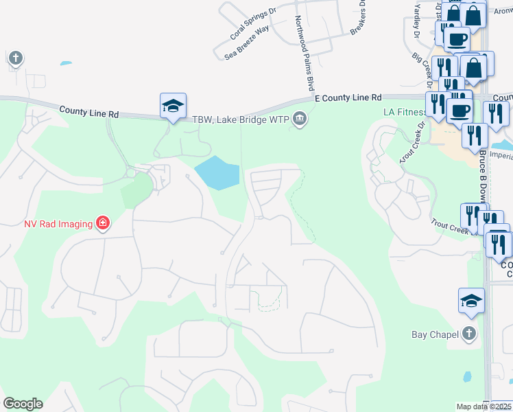 map of restaurants, bars, coffee shops, grocery stores, and more near 20418 Needletree Drive in Tampa