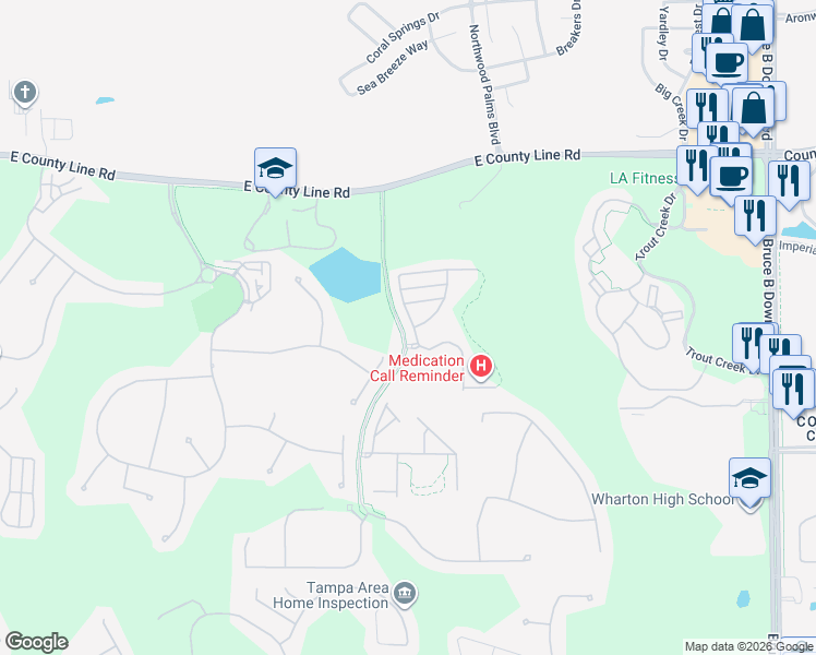 map of restaurants, bars, coffee shops, grocery stores, and more near 20426 Needletree Drive in Tampa