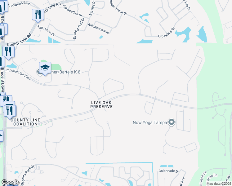 map of restaurants, bars, coffee shops, grocery stores, and more near 20619 Longleaf Pine Avenue in Tampa