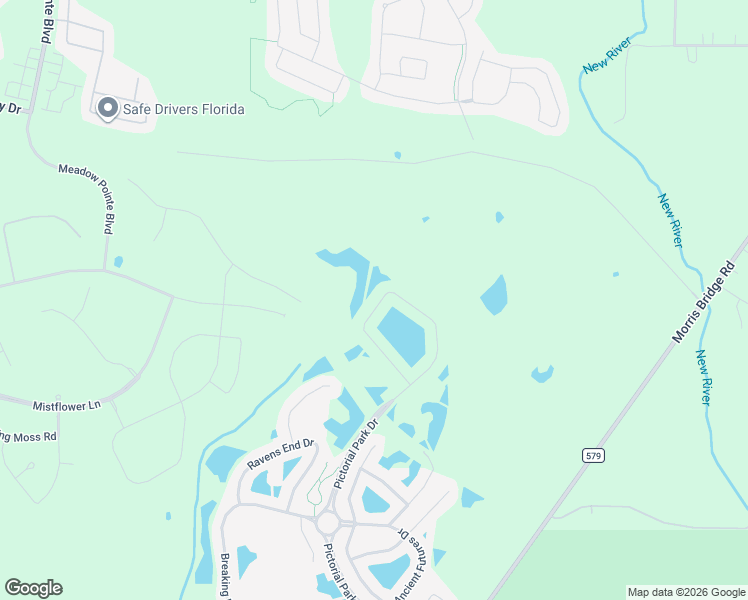 map of restaurants, bars, coffee shops, grocery stores, and more near 10658 Pictorial Park Drive in Tampa