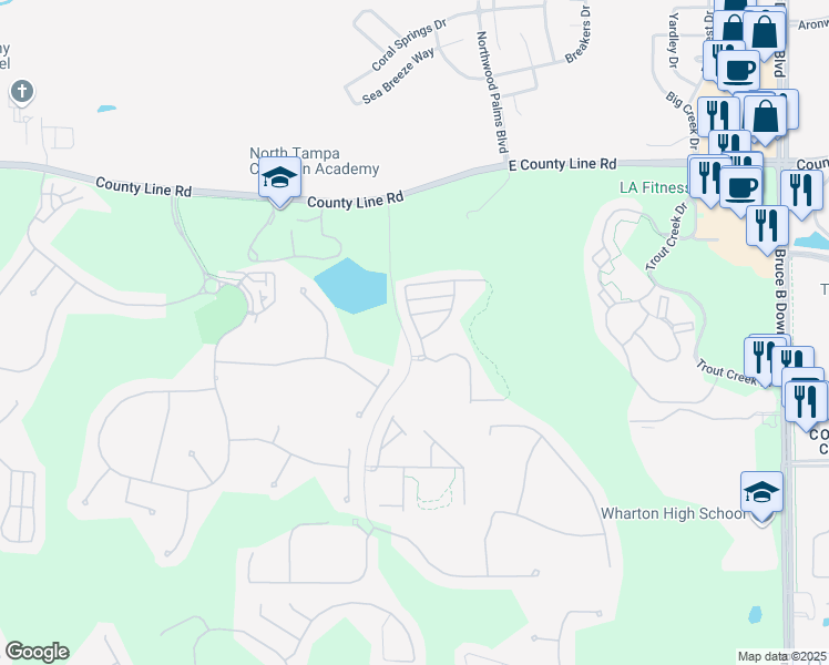 map of restaurants, bars, coffee shops, grocery stores, and more near 20426 Needletree Drive in Tampa