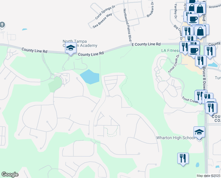 map of restaurants, bars, coffee shops, grocery stores, and more near 20426 Needletree Drive in Tampa